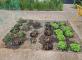 Jardin potager Les Rivalières Le Vaudreuil